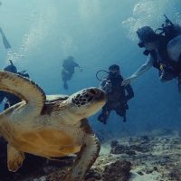 Photography Tours