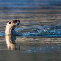 Photography Tours