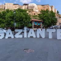 Tours & Sightseeing