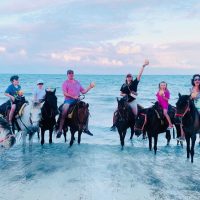 Horseback Riding