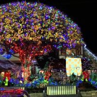 Holiday & Seasonal Tours