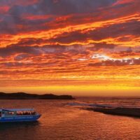 Luxury Tours
