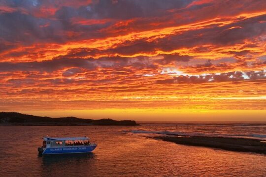 Valentine's Day in Kalbarri