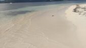 Day at sea with snorkeling and meals