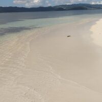 Shore Excursions
