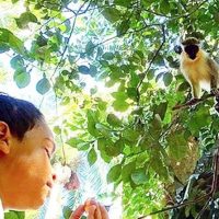 Sustainable Tours