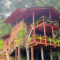 Eco Tours