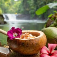 Spa Tours
