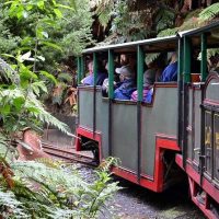 Sustainable Tours