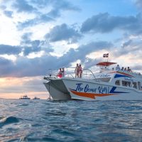 Sailing Trips