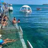 Boat Tours