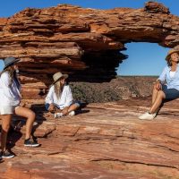 Bus & Minivan Tours