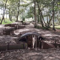 Cultural Tours