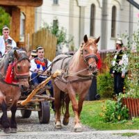 Multi-day Tours