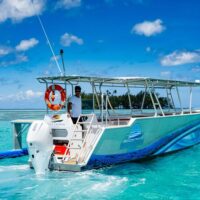 Private Sightseeing Tours