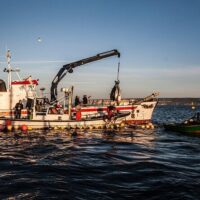 Fishing Charters & Tours