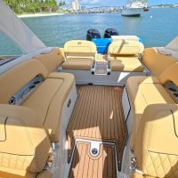 Day Cruises