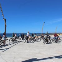 Half-day Tours