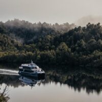 Day Cruises