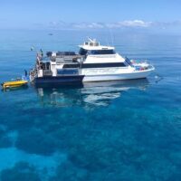 Brunch Cruises