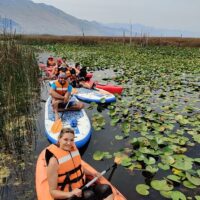 Boat Rentals