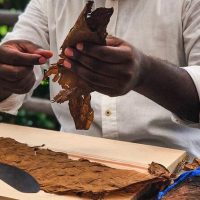 Cultural & Theme Tours