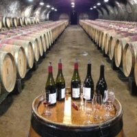 Holiday & Seasonal Tours