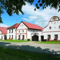 Shore Excursions