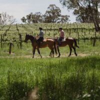 Horseback Riding