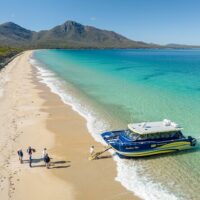 Cruises, Sailing & Water Tours