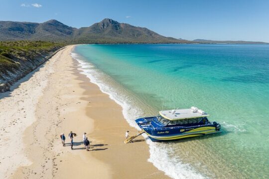 Hanukkah in Coles Bay