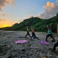 Classes & Workshops