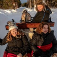 Horse Carriage Rides