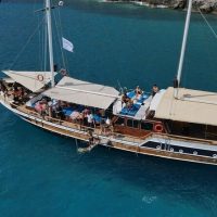Day Cruises
