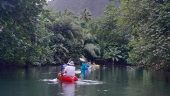 Best excursion in French Polynesia!