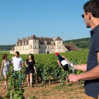 Cultural Tours