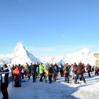 Holiday & Seasonal Tours