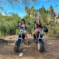 Bike Rentals