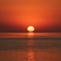 Private & Custom Tours