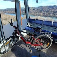 Half-day Tours
