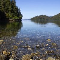 Holiday & Seasonal Tours