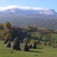 Sustainable Tours