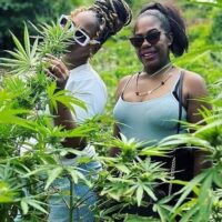 Plantation Tours
