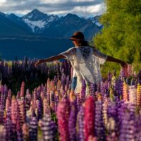 Holiday & Seasonal Tours