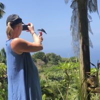 Walking & Biking Tours