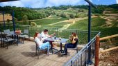 A great vineyard not to miss!!