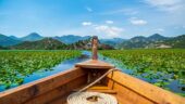 Tiho was was a fabulous guide, the private tour was worth every penny