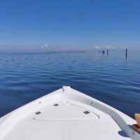 Day Cruises