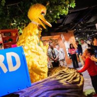Museum Tickets & Passes
