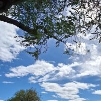 Multi-day Tours